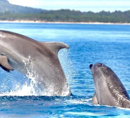 アパート Beautiful View With Garage Space *